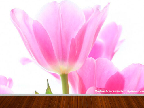 fotomural-tulipanes-3