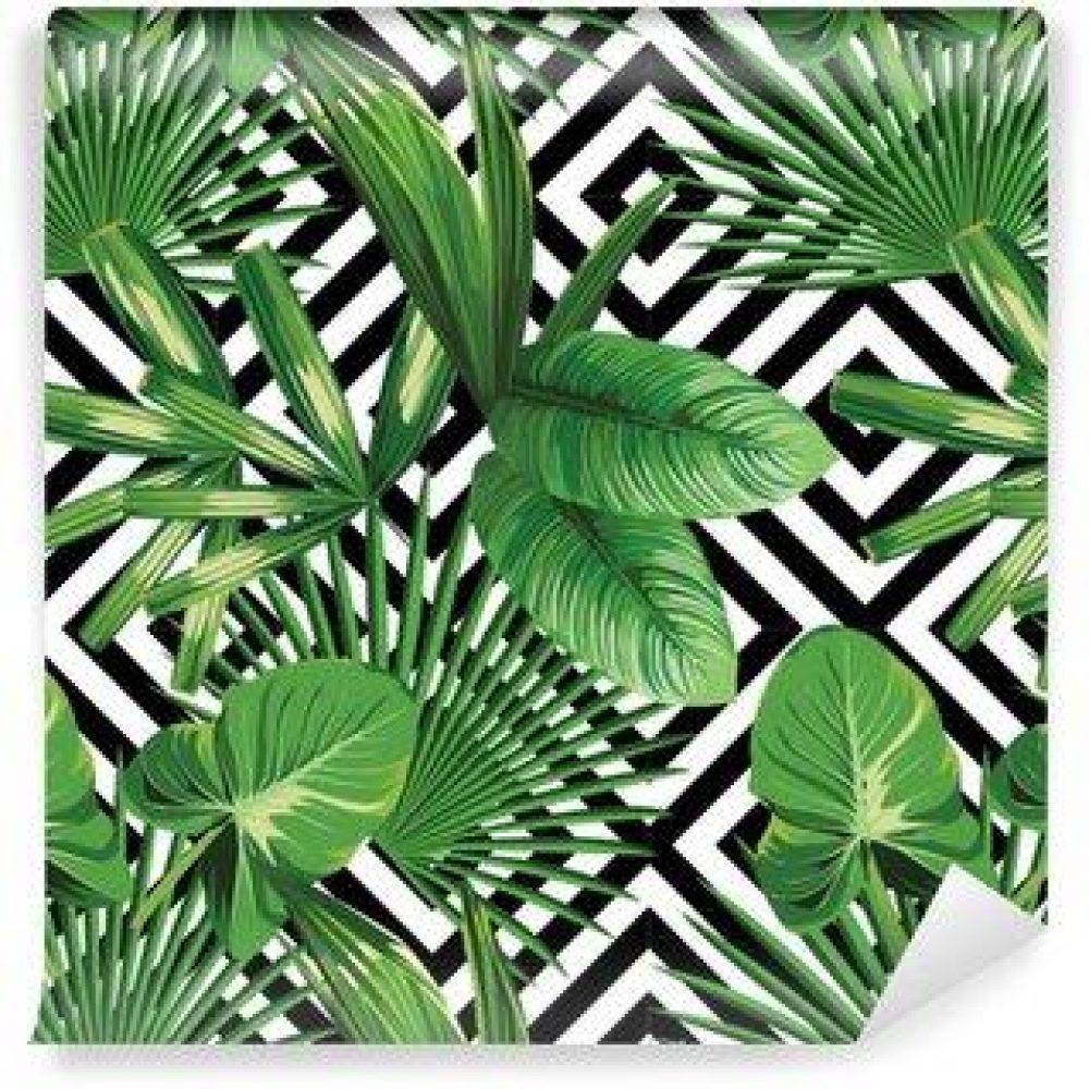 Fotomurales Mexico papeles pintados hojas de palmera tropical modelo fondo geometrico 1000x1000 - Papel Tapiz Palmera Fondo Geometrico
