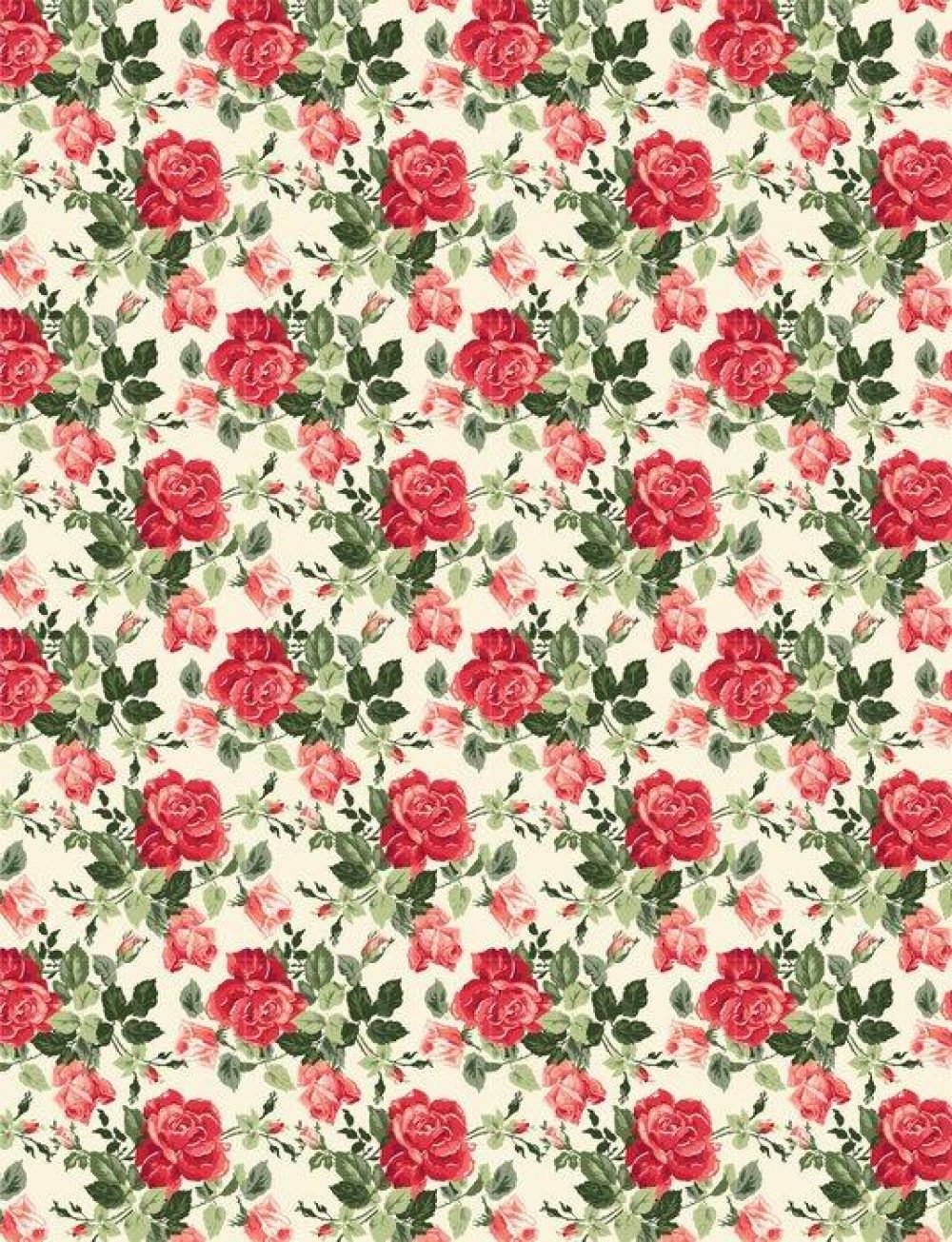 Fotomurales mexico papeles pintados fancy rose wallpaper 1 1000x1305 - Papel Tapiz Fancy Rose Fondo Blanco 01