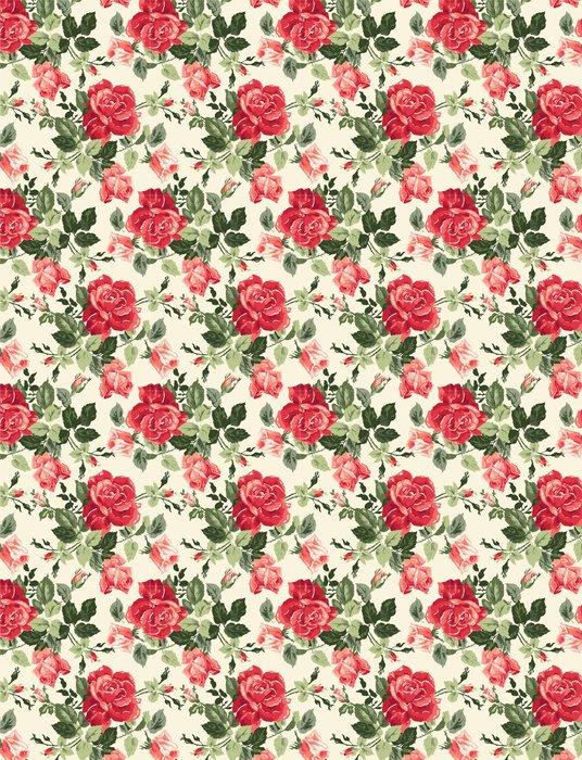 Fotomurales mexico papeles pintados fancy rose wallpaper 1 - Papel Tapiz Fancy Rose Fondo Blanco 01