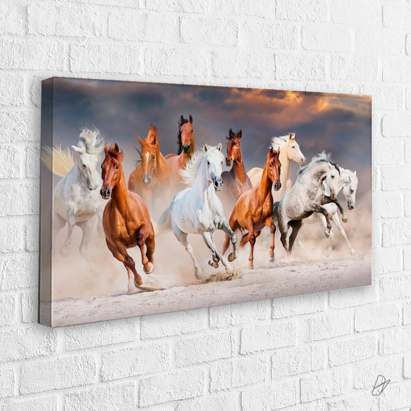 cuadro de animales caballos - Cuadros Canvas: Personaliza tu espacio